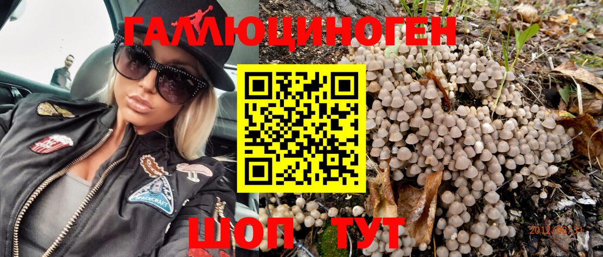 Псилоцибиновые грибы MAGIC MUSHROOMS  Вход с VPN  Междуреченск 