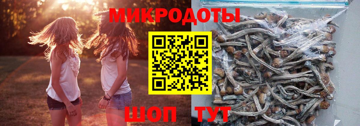 Псилоцибиновые грибы ЛСД Междуреченск